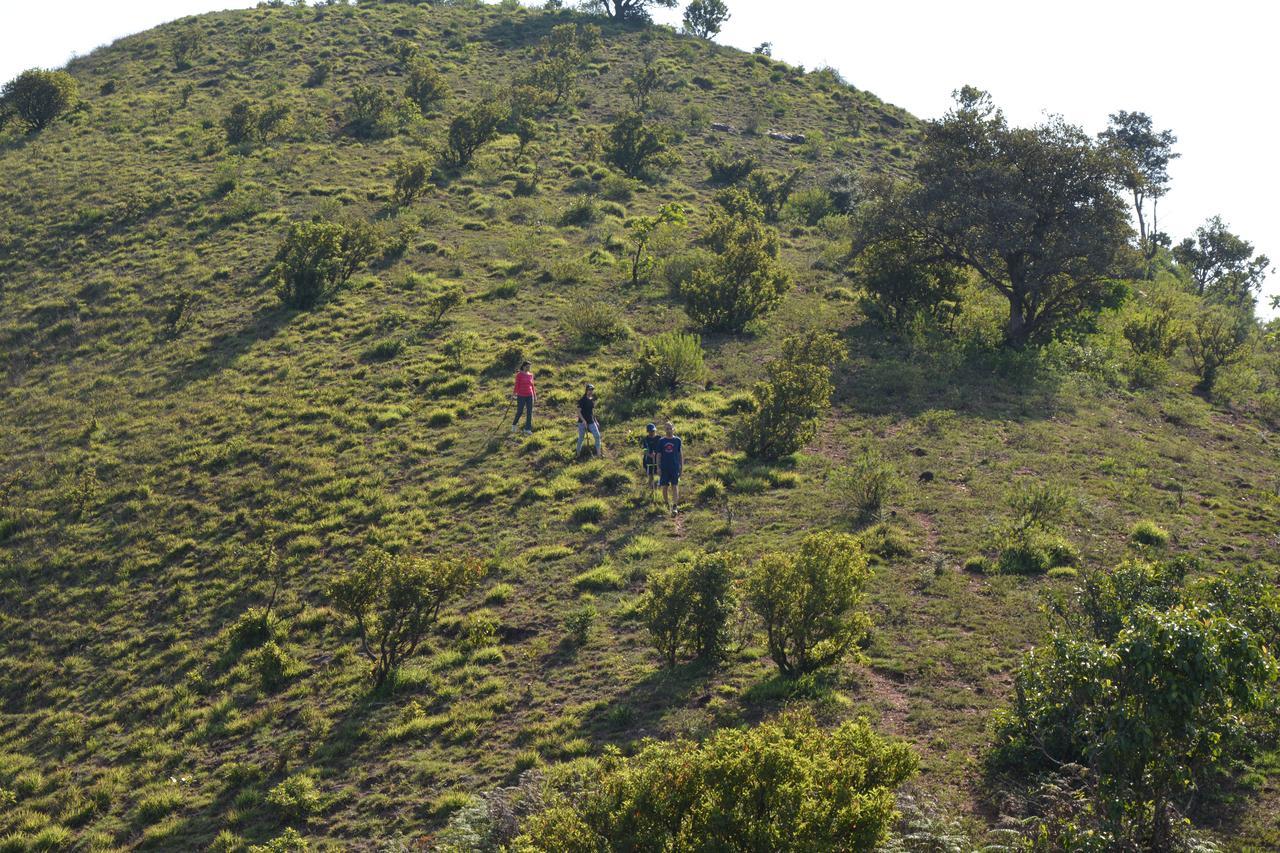 The Kaduhithlu Sakleshpur Bagian luar foto